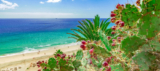 1 Woche Fuerteventura im 4,5-Sterne Hotel inkl. All Inclusive