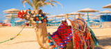 1 Woche Hurghada im 4-Sterne Hotel inkl. All Inclusive