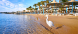 Last Minute Hurghada im top 4-Sterne Hotel inkl. All Inclusive
