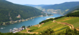 2 Nächte Rüdesheim am Rhein im 4-Sterne AKZENT Hotel Berg´s Alte Bauernschänke inkl. Frühstück + Dinner