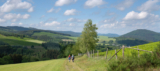 Winkhausen/Sauerland: 2 Nächte im 5-Sterne S AWARD Hotel Deimann inkl. Halbpension + Wellness